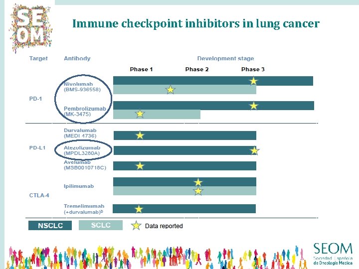 Immune checkpoint inhibitors in lung cancer 