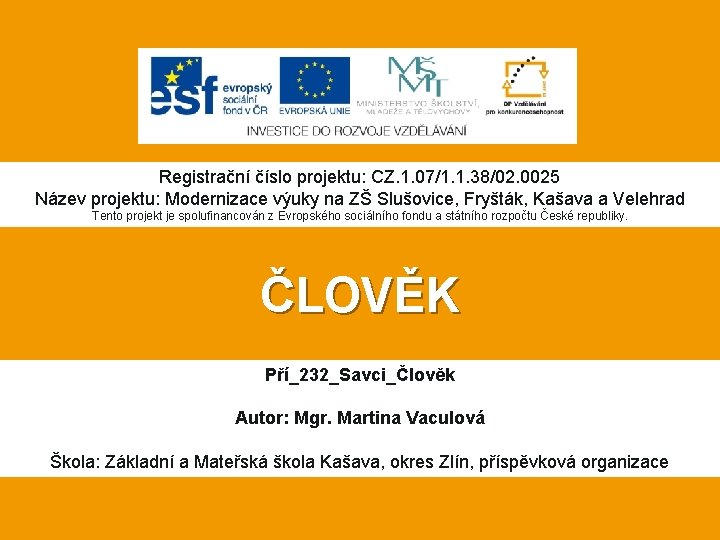 Registrační číslo projektu: CZ. 1. 07/1. 1. 38/02. 0025 Název projektu: Modernizace výuky na