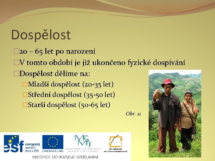 Dospělost � 20 – 65 let po narození �V tomto období je již ukončeno