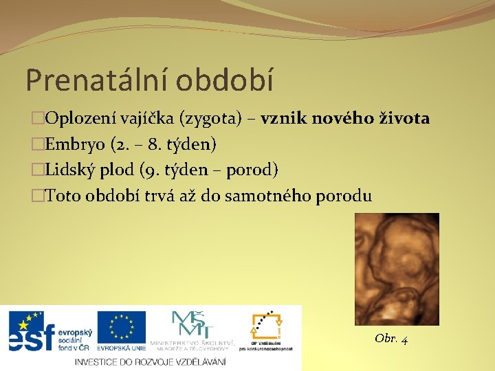 Prenatální období �Oplození vajíčka (zygota) – vznik nového života �Embryo (2. – 8. týden)