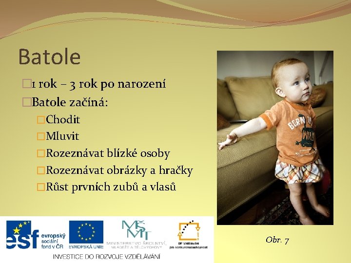 Batole � 1 rok – 3 rok po narození �Batole začíná: �Chodit �Mluvit �Rozeznávat