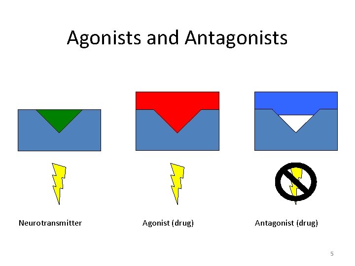 Agonists and Antagonists Neurotransmitter Agonist (drug) Antagonist (drug) 5 