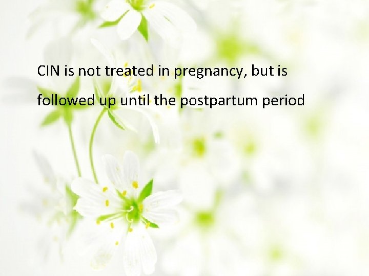 CIN is not treated in pregnancy, but is followed up until the postpartum period
