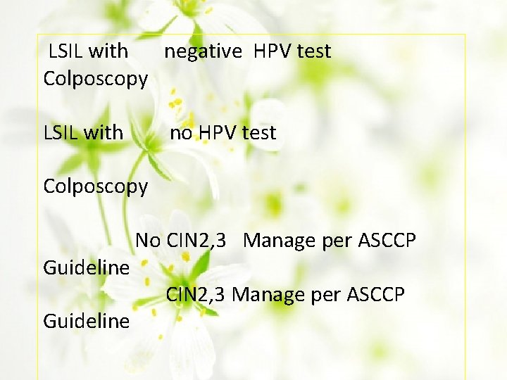 LSIL with negative HPV test Colposcopy LSIL with no HPV test Colposcopy Guideline No