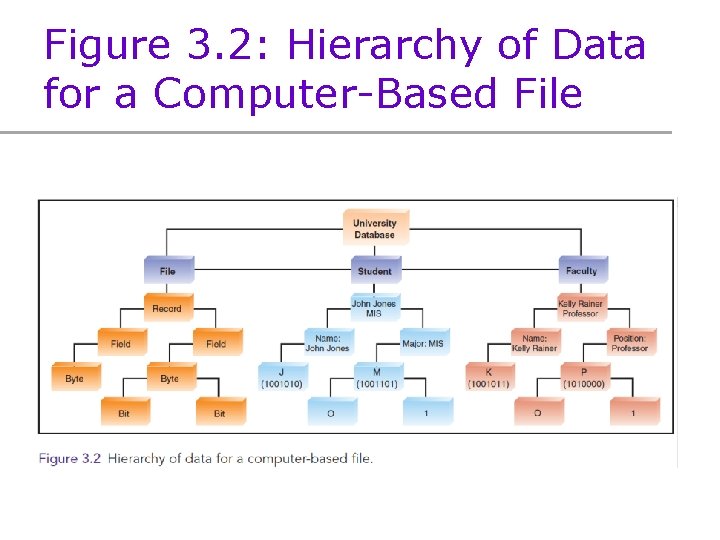 Figure 3. 2: Hierarchy of Data for a Computer-Based File 