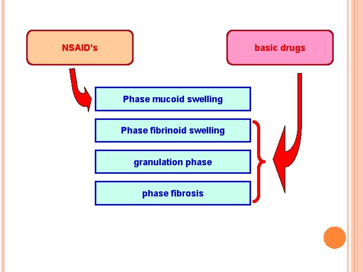 NSAID’s basic drugs Phase mucoid swelling Phase fibrinoid swelling granulation phase fibrosis 