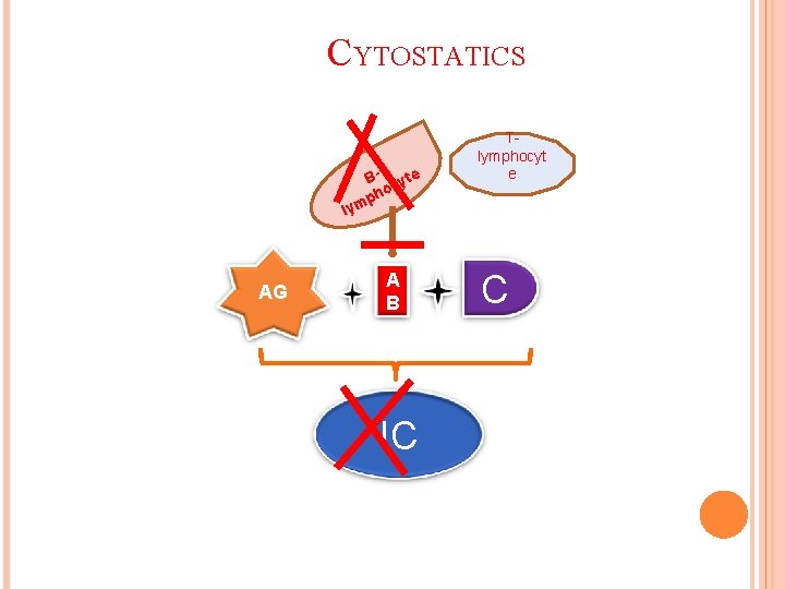 CYTOSTATICS В- cyte ho p lym AG A B IC Тlymphocyt e С 