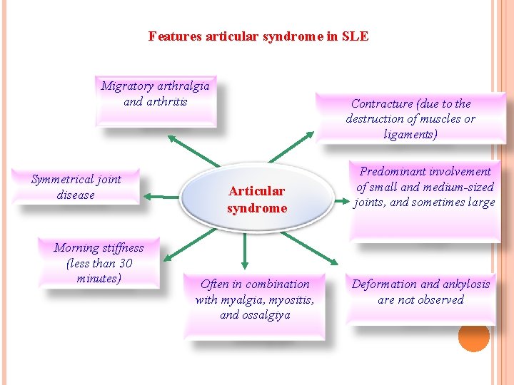 Features articular syndrome in SLE Migratory arthralgia and arthritis Symmetrical joint disease Morning stiffness