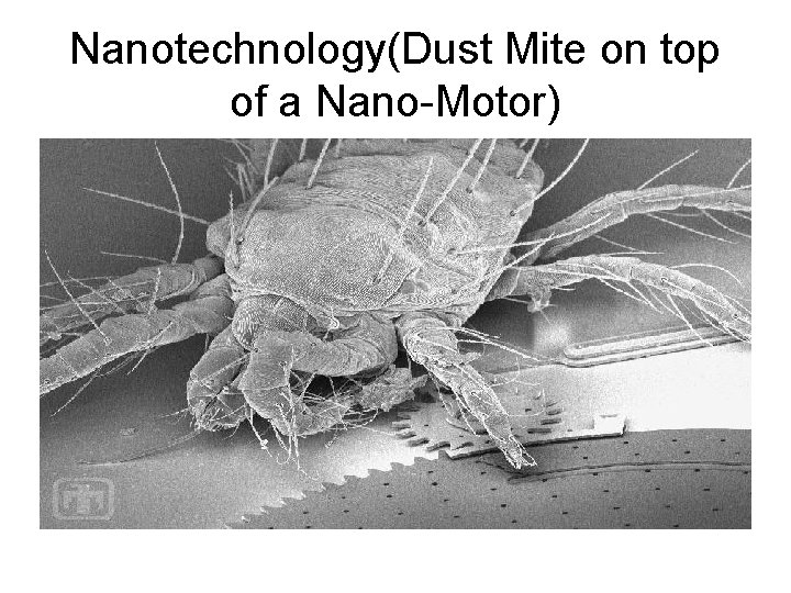 Nanotechnology(Dust Mite on top of a Nano-Motor) 