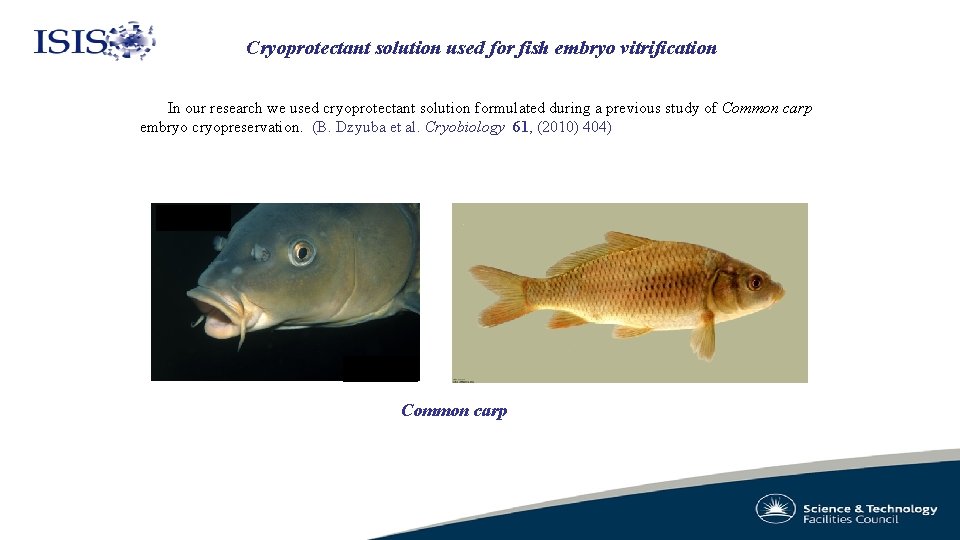 Cryoprotectant solution used for fish embryo vitrification In our research we used cryoprotectant solution