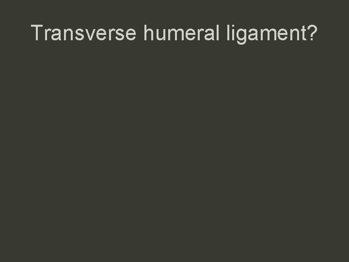 Transverse humeral ligament? 