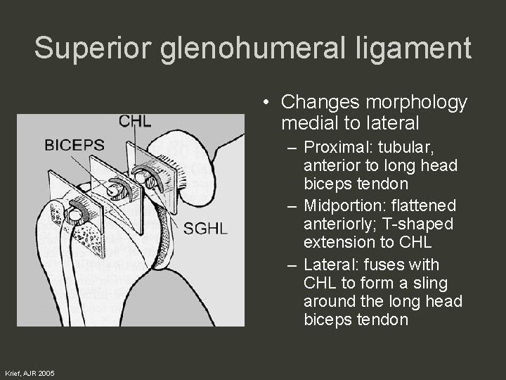 Superior glenohumeral ligament • Changes morphology medial to lateral – Proximal: tubular, anterior to