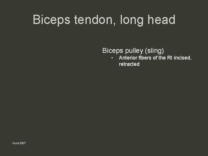 Biceps tendon, long head Biceps pulley (sling) • Hunt 2007 Anterior fibers of the