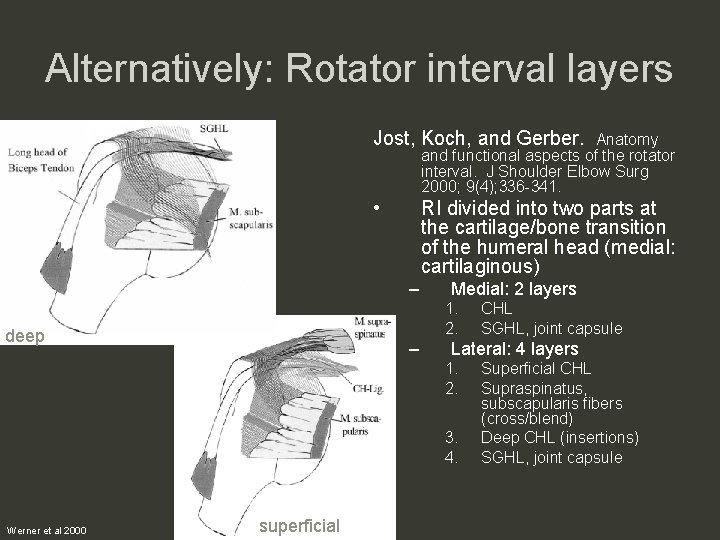 Alternatively: Rotator interval layers Jost, Koch, and Gerber. Anatomy and functional aspects of the