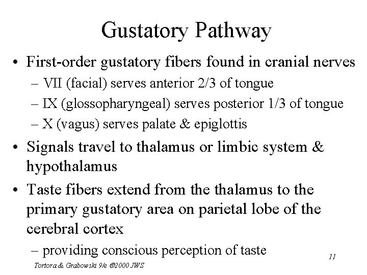 Gustatory Pathway • First-order gustatory fibers found in cranial nerves – VII (facial) serves