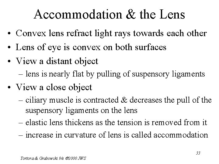 Accommodation & the Lens • Convex lens refract light rays towards each other •