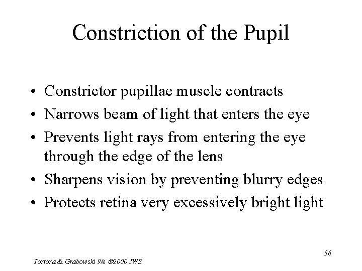 Constriction of the Pupil • Constrictor pupillae muscle contracts • Narrows beam of light