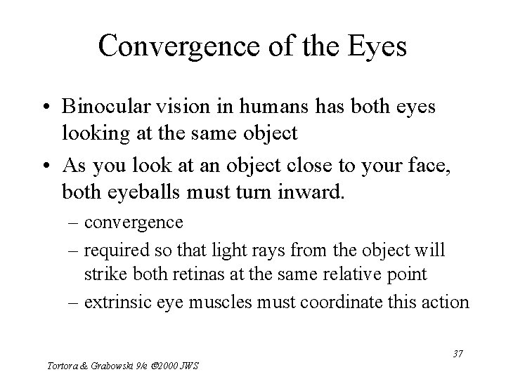 Convergence of the Eyes • Binocular vision in humans has both eyes looking at
