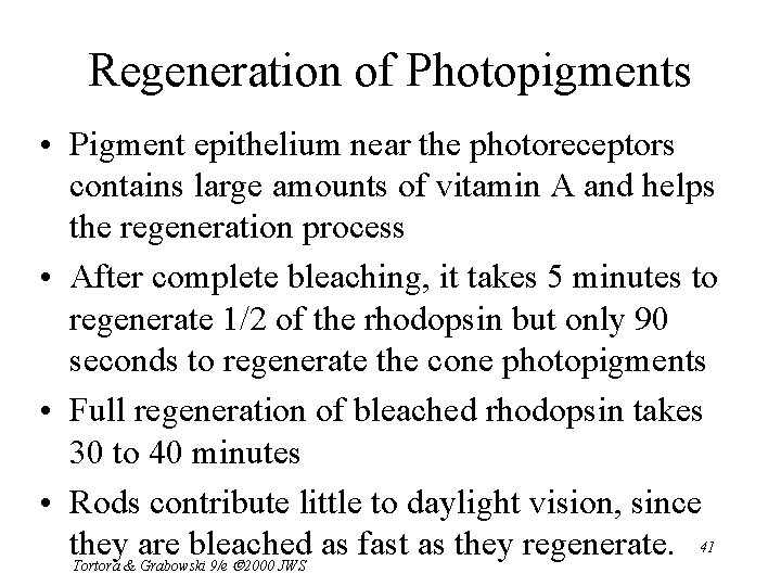 Regeneration of Photopigments • Pigment epithelium near the photoreceptors contains large amounts of vitamin