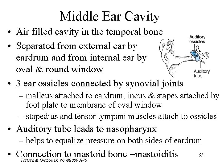 Middle Ear Cavity • Air filled cavity in the temporal bone • Separated from