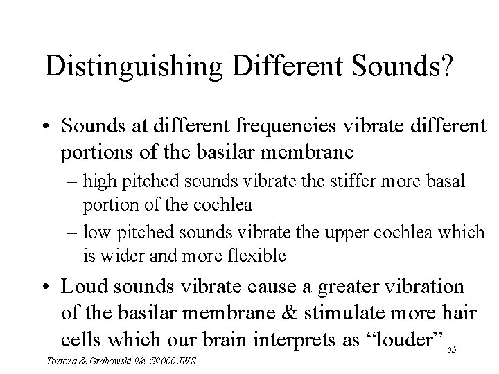 Distinguishing Different Sounds? • Sounds at different frequencies vibrate different portions of the basilar