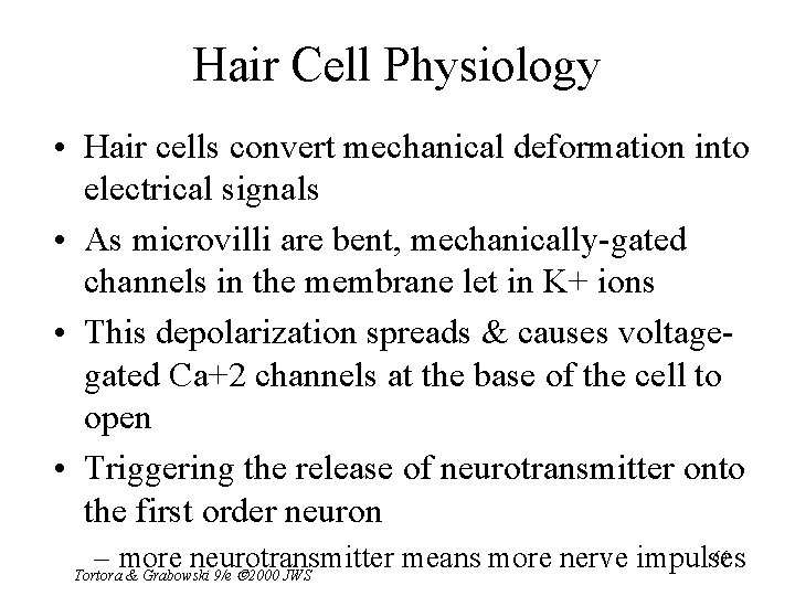 Hair Cell Physiology • Hair cells convert mechanical deformation into electrical signals • As