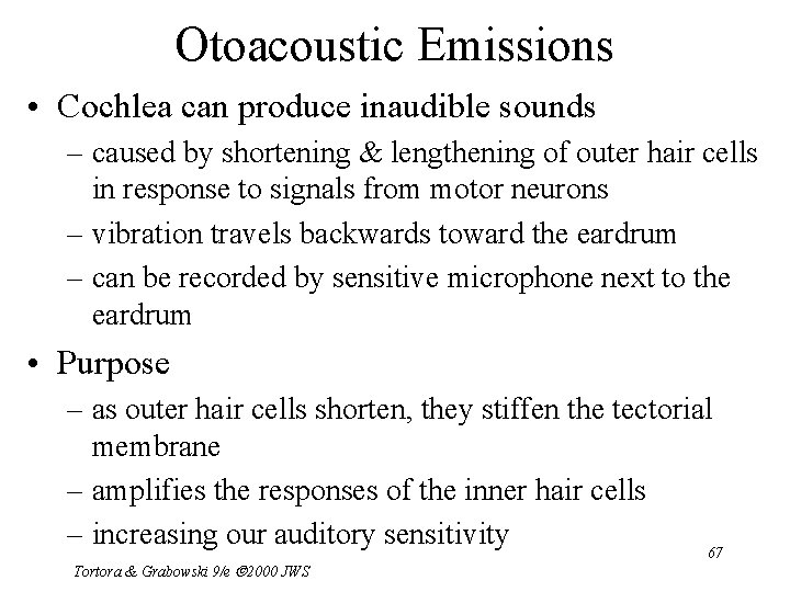 Otoacoustic Emissions • Cochlea can produce inaudible sounds – caused by shortening & lengthening