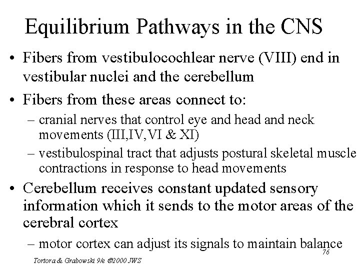 Equilibrium Pathways in the CNS • Fibers from vestibulocochlear nerve (VIII) end in vestibular
