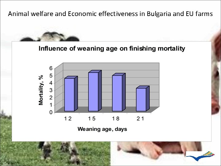 Animal welfare and Economic effectiveness in Bulgaria and EU farms 