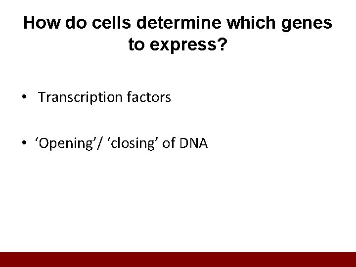 How do cells determine which genes to express? • Transcription factors • ‘Opening’/ ‘closing’