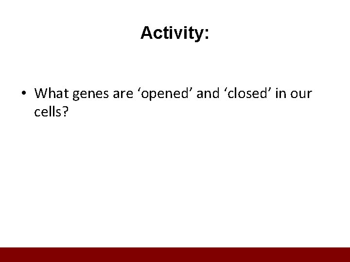 Activity: • What genes are ‘opened’ and ‘closed’ in our cells? 