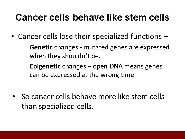 Cancer cells behave like stem cells • Cancer cells lose their specialized functions –
