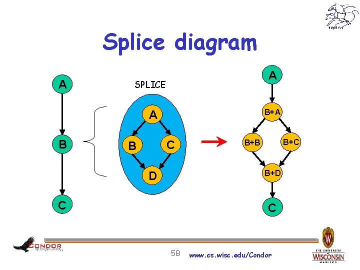 Splice diagram A A SPLICE B+A A B C B B+C B+B B+D D