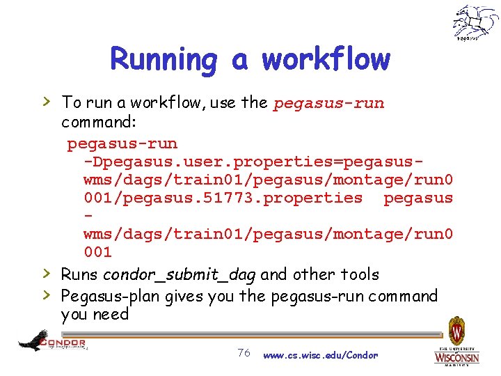 Running a workflow > To run a workflow, use the pegasus-run > > command: