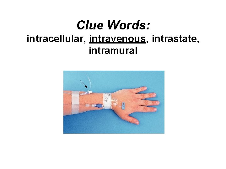 Clue Words: intracellular, intravenous, intrastate, intramural 