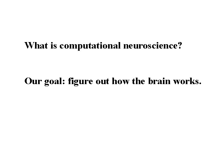 What is computational neuroscience? Our goal: figure out how the brain works. 