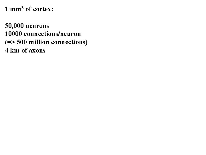 1 mm 3 of cortex: 50, 000 neurons 10000 connections/neuron (=> 500 million connections)