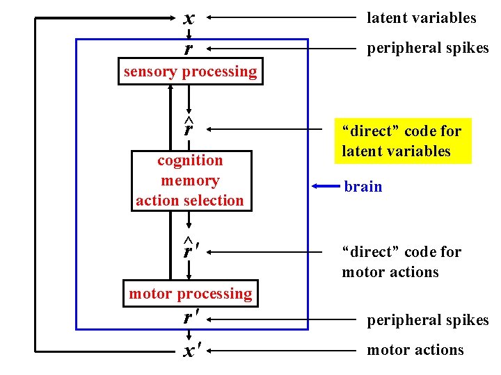 x r latent variables peripheral spikes sensory processing ^ r cognition memory action selection