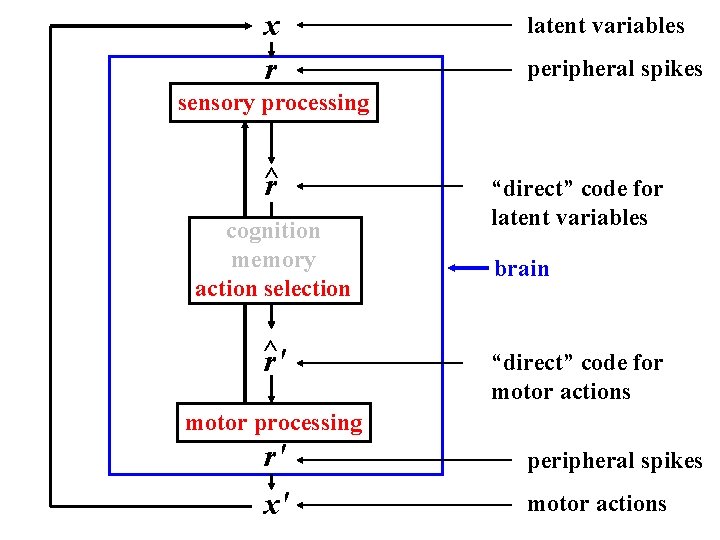 x r latent variables peripheral spikes sensory processing ^ r cognition memory action selection