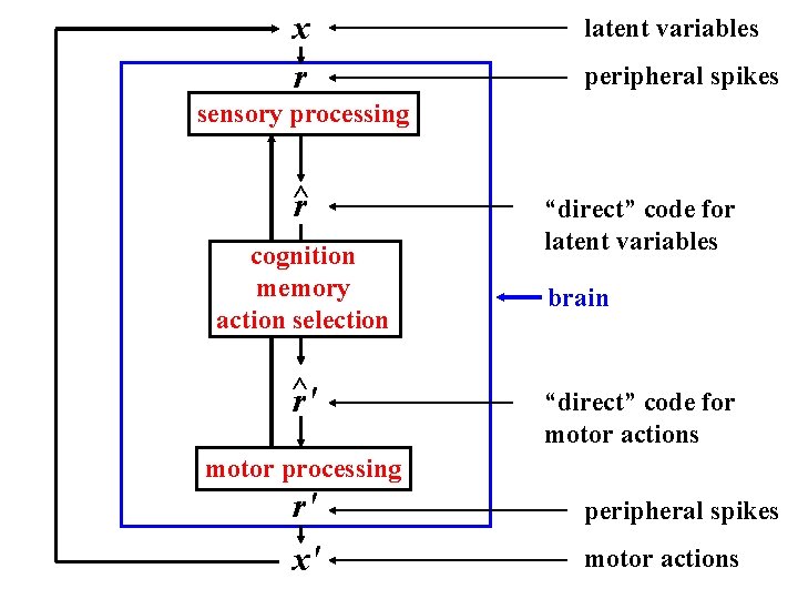 x r latent variables peripheral spikes sensory processing ^ r cognition memory action selection