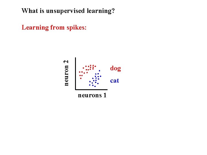 What is unsupervised learning? neuron 2 Learning from spikes: dog cat neurons 1 