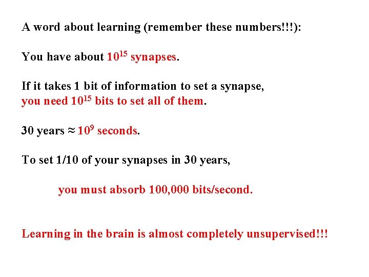 A word about learning (remember these numbers!!!): You have about 1015 synapses. If it