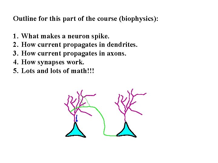 Outline for this part of the course (biophysics): 1. 2. 3. 4. 5. What