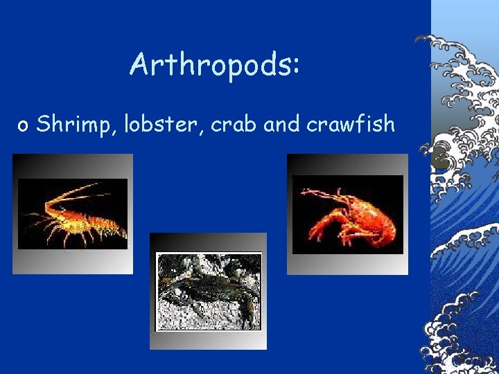 Arthropods: o Shrimp, lobster, crab and crawfish 