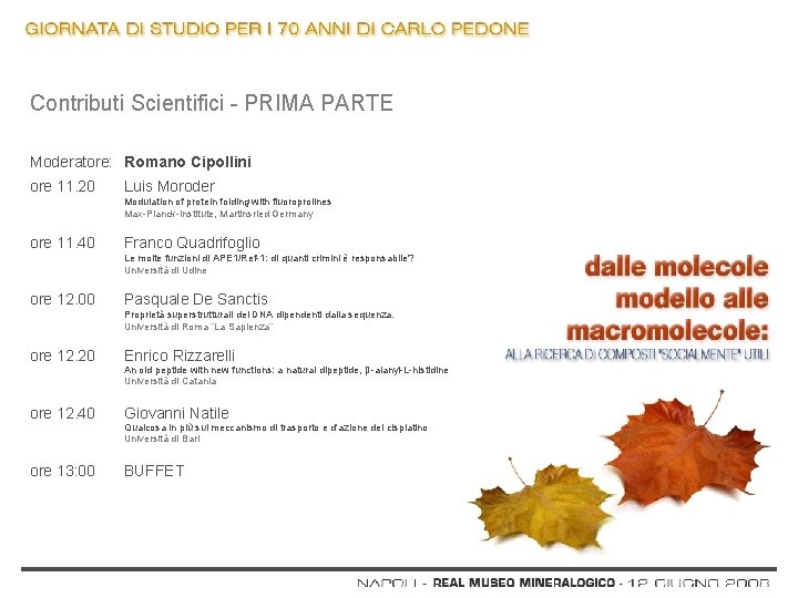 Contributi Scientifici - PRIMA PARTE Moderatore: Romano Cipollini ore 11. 20 Luis Moroder Modulation