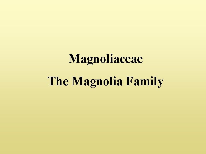 Magnoliaceae The Magnolia Family 