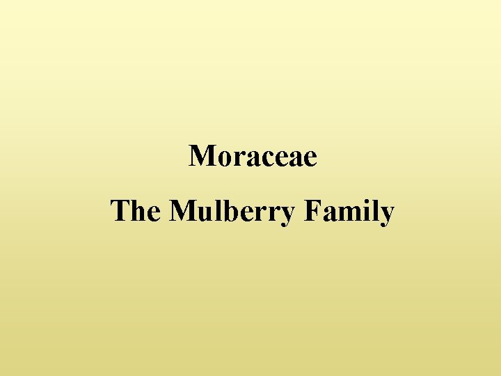Moraceae The Mulberry Family 