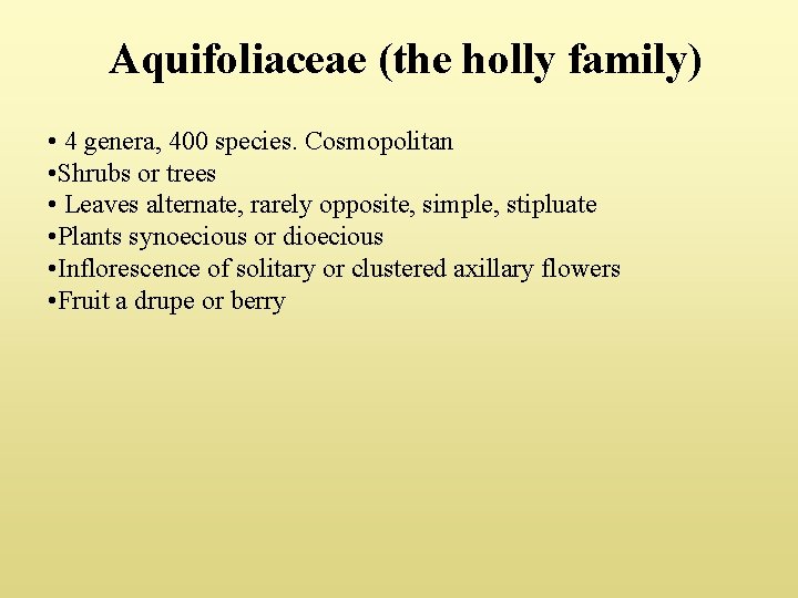 Aquifoliaceae (the holly family) • 4 genera, 400 species. Cosmopolitan • Shrubs or trees