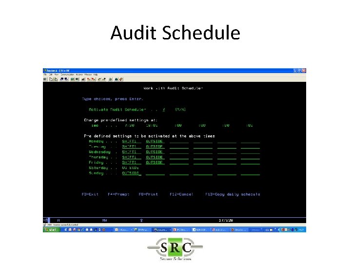 Audit Schedule 