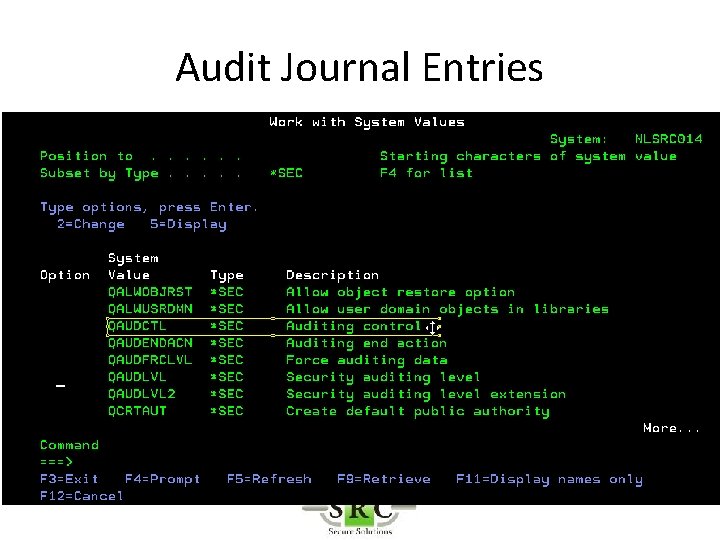 Audit Journal Entries 